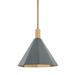 Troy Lighting Huntley 15 Inch Large Pendant - F8315-PBR/VER