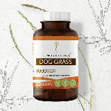 Secrets of the Tribe Dog Grass 120 Capsules 500 mg Organic Dog Grass (Couch Grass Elymus repens) Dried Root