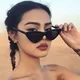 Retro Small Frame Cat Eye Sunglasses Women Vintage Triangle Sun Glasses For UV400 Protection Eyewear