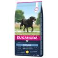 15kg Thriving Mature Large Breed poulet Eukanuba - Croquettes pour chien : -10 % !