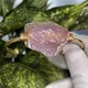 Bracelet en quartz rose naturel brut de Madagascar incroyable avec fil plaqué or enveloppé bijoux
