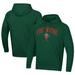 Men's Under Armour Green Fort Wayne TinCaps All Day Fleece Pullover Hoodie