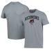 Men's Under Armour Gray Richmond Flying Squirrels Performance T-Shirt