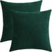 Latitude Run® Chenille Throw Square Pillow Cover Chenille in Green | 18 H x 18 W x 2 D in | Wayfair 30BC2ADC19FF4BB2835F0FC43D836481