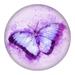 August Grove® Purple Butterfly - Unframed Painting on Metal in Blue/Indigo | 24 H x 24 W x 0.5 D in | Wayfair CC8A50EA4CDC4D77AC3EC60B8042B7A3