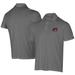 Men's Under Armour Gray Richmond Flying Squirrels Tech Mesh Performance Polo