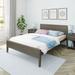 Max and Lily Queen-Size Bed with Panel Headboard