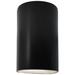 Ambiance 12 1/2"H Carbon Cylinder Closed Outdoor Wall Sconce