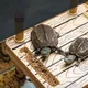 Terrasse flottante pour tortue île flottante brésilienne aquarium précieux plate-forme flottante
