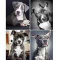 Kit de peinture diamant américain Pit Bull Terrier mignons chiots Pitbull en noir et blanc