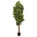 Nearly Natural 6 Oak Artificial Tree UV Resistant (Indoor/Outdoor) - 6