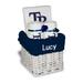 White Tampa Bay Rays Personalized Small Gift Basket