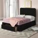 Wade Logan® Audeline Tufted Storage Panel Bed Upholstered/Polyester in Black | 48.4 H x 57.1 W x 81.3 D in | Wayfair