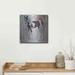 Rosalind Wheeler 'Tiggs' By Renee Gould, Metal Wall Art Metal in Black/White | 12 H x 12 W x 0.13 D in | Wayfair 30702E23A4BD42E1BBAAE3EE96E16235