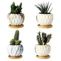 ceramic succulent plant pots 4 Sets of Marble Ceramic Flower Pot Mini Succulent Plant Flower Pot Straight Round Potting Pot Household Flower Container without Plant for Home Store (Without Plants)