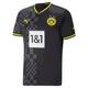 Borussia Dortmund, Men's Jersey, 2022/23 Season Official Away