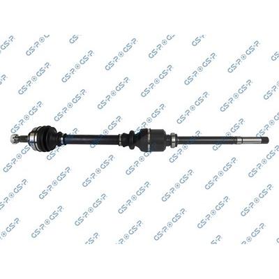 Gsp Antriebswelle [Hersteller-Nr. 210139] für Citroën Image
