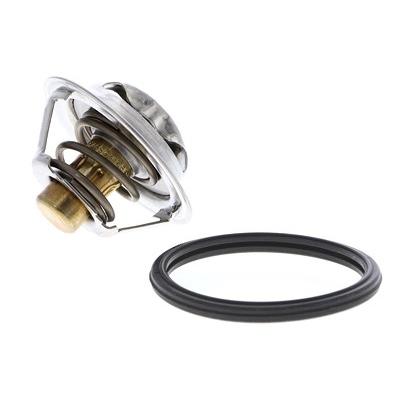 Ackoja Thermostat, Kühlmittel [Hersteller-Nr. A38-99-0015] für Infiniti, Nissan, Renault Image
