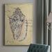 Dovecove Seashell Ephemera I - Wrapped Canvas Graphic Art Canvas, Solid Wood | 12 H x 8 W x 1 D in | Wayfair E13BCEF85FC4450AB72CDCF4433BACB1