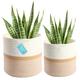 OrganiHaus 2-Pack Cotton Rope Plant Basket & Large Plant Pots Indoor Pots for Plants | Storage Basket Plant Pot | Large Indoor Plant Pot | Large Indoor Planters | 25x30cm Plant Pots - Honey/White