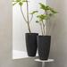 Latitude Run® 2-Piece Plastic Pot Planter Set Resin/Plastic in Black | 20 H x 11.5 W x 11.5 D in | Wayfair AAB687F3CE5949DC8236E7F81814030F