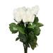 Primrue Roses Floral Arrangement | 22 H x 2 W x 2 D in | Wayfair D73DA988309A42AFA9CD515F488C9274