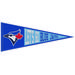 WinCraft Toronto Blue Jays 13" x 32" Slogan Pennant