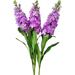 Nvzi 32 inch Artificial Hyacinth Delphinium Tall Silk Flowers Branches for Home Decoration Pack of 3