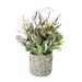 Primrue 11" Lambs Ear Potted Plant w/ Twig & Greenery Leaves, Cement Pot Polysilk | 11 H x 7 W x 7 D in | Wayfair 7A9BFB23C14E40B2838AEC6990CEE4C3