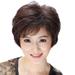 non-mainstream Japanese Korean middle-aged and old lady inclined bang mother wig short curl hair