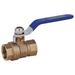 ZORO SELECT GG-F600-200 2" FNPT Brass Ball Valve Inline