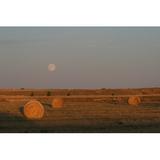 Gracie Oaks Fall Scene of Bales by Ceswan - Wrapped Canvas Photograph Canvas in White | 24 H x 36 W x 1.25 D in | Wayfair
