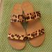 J. Crew Shoes | J. Crew Lepord Sandals | Color: Black/Tan | Size: 10