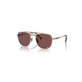 Ray-Ban Sunglasses Unisex Frank II Titanium - Rose Gold Frame Violet Lenses Polarized 51-20