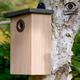 Wildlife World Simon King Predator Proof Bird Nest Box