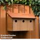 Oakham Sparrow Terrace Nest Box