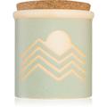 Paddywax Dune Mountain Mint & Woods scented candle 226 g