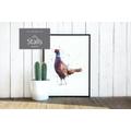 Pheasant Painting - Watercolour Pheasant Art Farm Nursery English