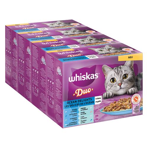 48x 85g Multipack WHISKAS DUO Portionsbeutel Ocean Delights in Gelee Katzenfutter nass