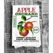 East Urban Home Farmhouse Apple Orchard Organic Flour Sack Tea Towel Cotton in Brown | 27 H x 27 W in | Wayfair DDE6EE1B2E7E496FA1450EB9633FA46A