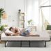 Latitude Run® Reeba 16" Steel Folding Bed Metal in Black | 16 H x 79 W x 31.5 D in | Wayfair 907584DB77F5426D8C61DF166C8CCA1F