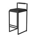 Dining Chair | Black Metal Bar Stools with Velvet Cushion Seat and Backrest, Stool Bar | Pub | Café Dining Room Kitchen Bar Counter Stool with Footrest