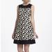Anthropologie Dresses | Anthropologie Leifnotes Corduroy Dress Fit And Flare Black White Size 8 Euc | Color: Black/Cream | Size: 8