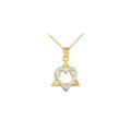 Medium Star of David Heart Necklace in 9ct Two-Tone Gold