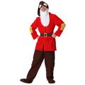 Plus Size Dwarf Fancy Dress Costume