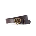 Women's The Shield Belt in Cocoa, Size Small, by Ariat