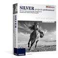 Silver projects professional Windows