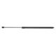 RIDEX Bonnet Struts Eject Force: 280N 514G0163 Hood Struts,Hood Shocks MERCEDES-BENZ,C-Klasse Limousine (W203),C-Klasse T-modell (S203),CLK (C209)