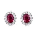 18ct White Gold Ruby Diamond Cluster Oval Stud Earrings