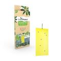 Green Protect Yellow Insect Trap - Single